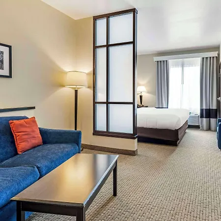 Comfort Suites Palestine-3