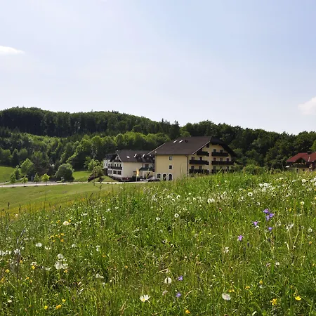 Hotel Wienerwaldhof-2