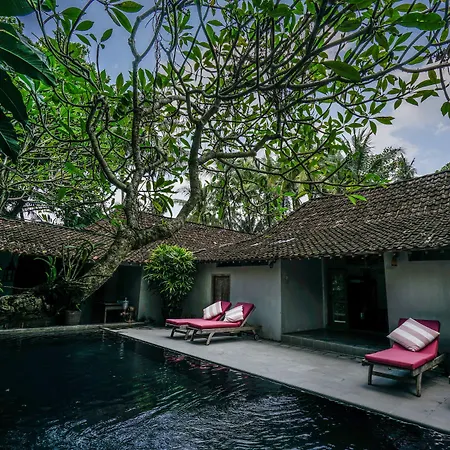 D'Omah Yogya Hotel-2