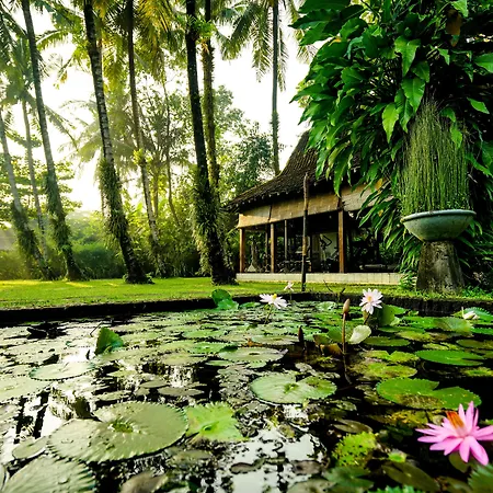 D'Omah Yogya Hotel-3