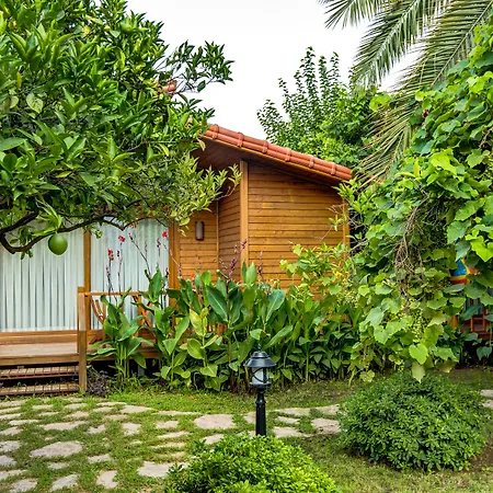 Villa Lukka-3