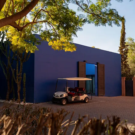 Al Maaden Villa Hotel & Spa-3
