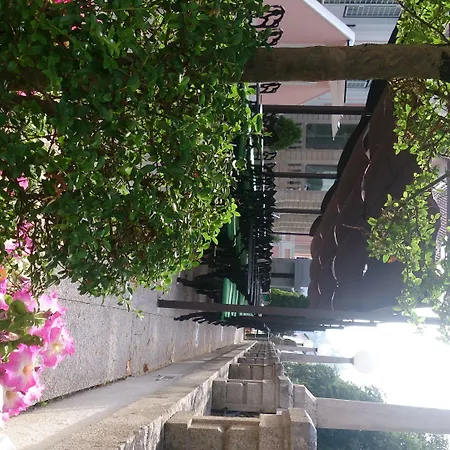 INATEL Palace São Pedro Do Sul Hotel-2
