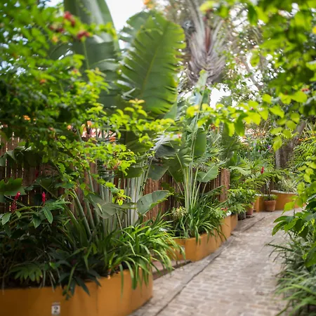 Vila Deste Hotel-3