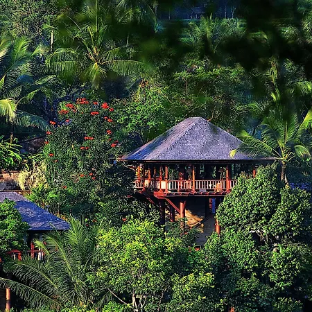Como Shambhala Estate-3