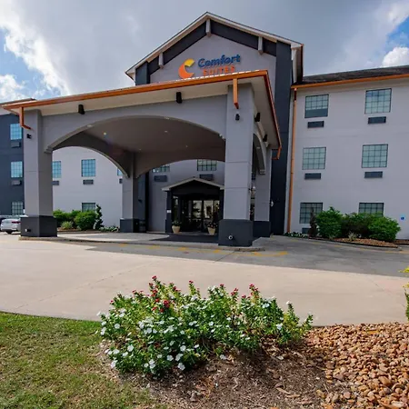 Comfort Suites Oil Center-3