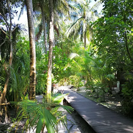 Gangehi Island Resort & Spa-3