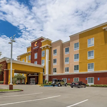 Comfort Suites Denham Springs-3