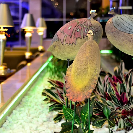 Miracle Resort Hotel-2