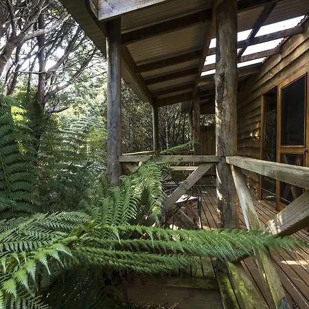 Cradle Forest Inn-2