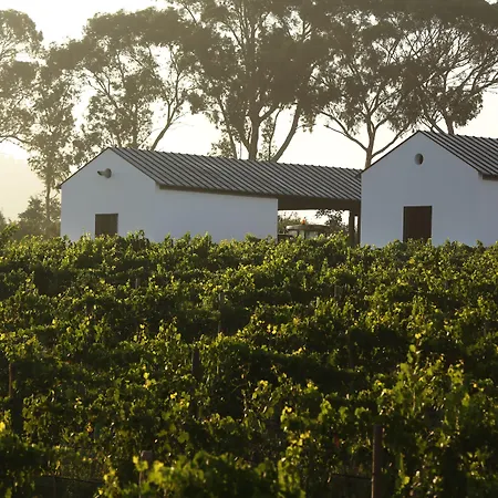 Torre De Palma Wine Hotel, Monforte, A Member Of Design Hotels-2