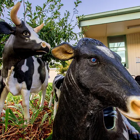 Big4 Shepparton Park Lane Holiday Park-3