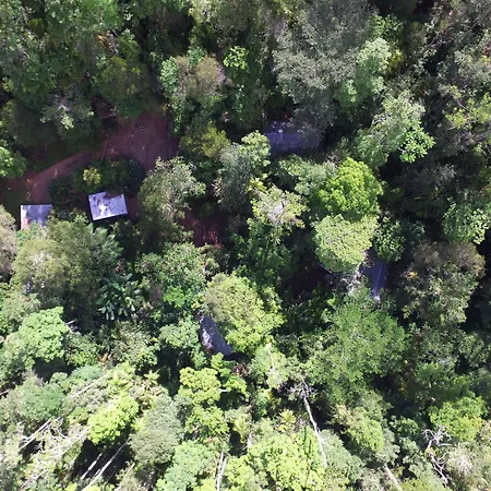 Crater Lakes Rainforest Cottages-3