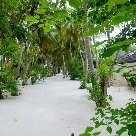Summer Island Maldives-2
