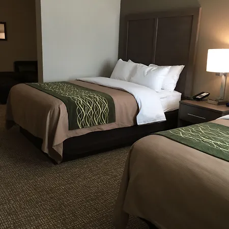 Comfort Inn & Suites Snyder-3