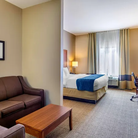Comfort Inn South Chesterfield - Colonial Heights-2