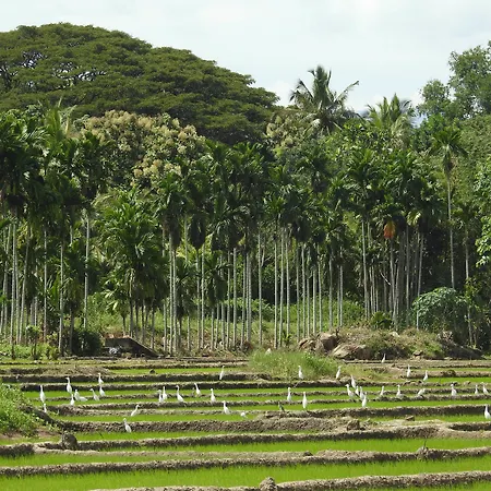 Jetwing Kaduruketha-2