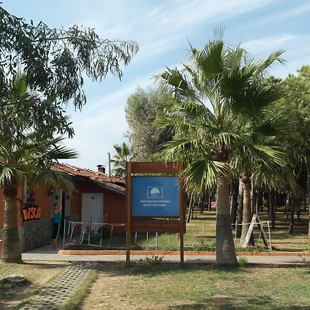 Club Turtas Beach-2