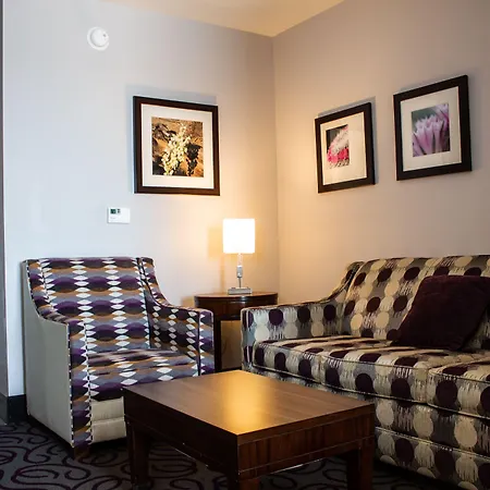 Comfort Inn & Suites Lovington-3