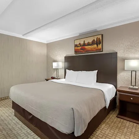 Quality Inn & Conference Centre Midland-3