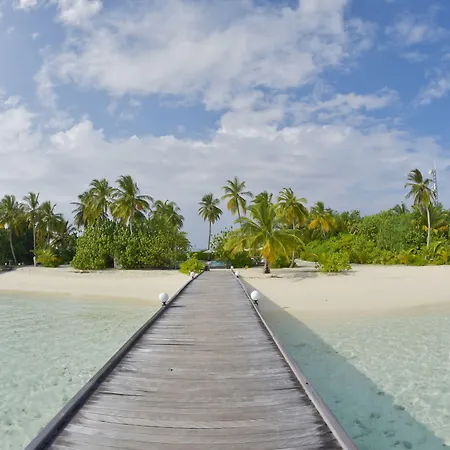 Safari Island-2