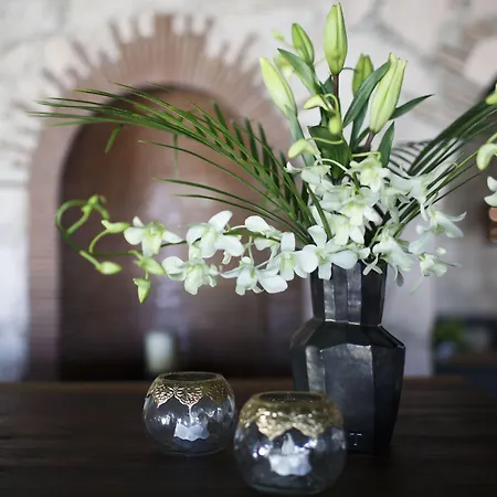 Maja Hotel Boutique-2