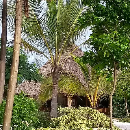 Marafiki Bungalows-2