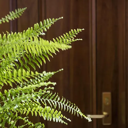The Parkview Boutique Hotel-2