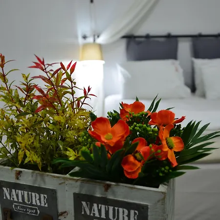 Nova Citrus Otel-2