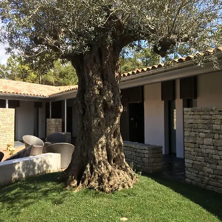 Hôtel Ile de Ré-3