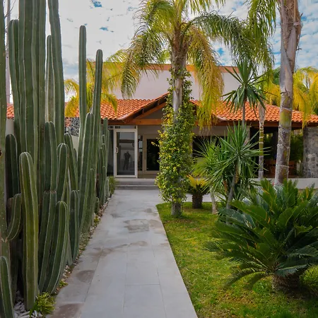 Hacienda 1800-3