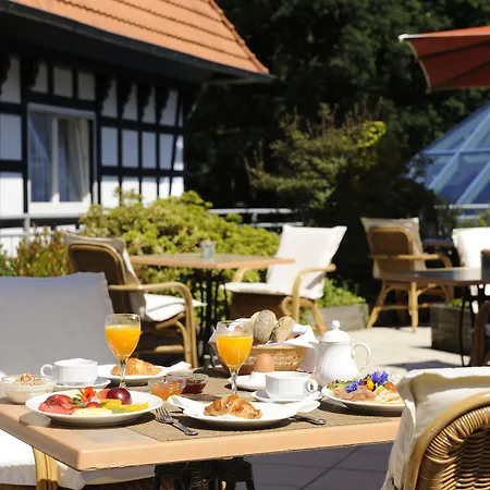 Vila Vita Burghotel Dinklage-3
