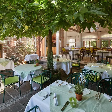 Hotel-Restaurant Adler-2