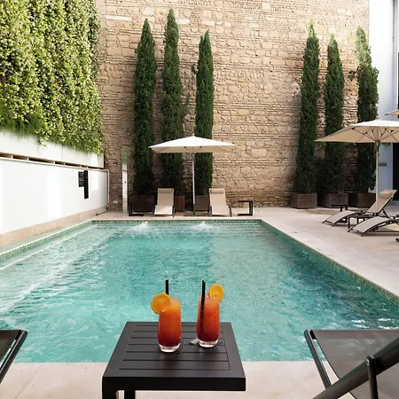 H10 Palacio Colomera-2