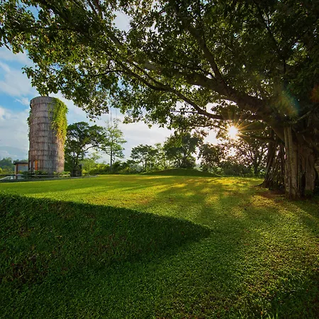 Tri Ahangama By Teardrop Hotels-2