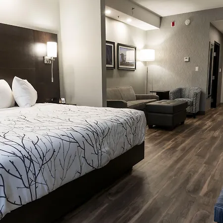 Best Western Premier Northwood Hotel-3