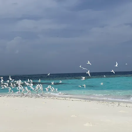 Perla Dhangethi-3