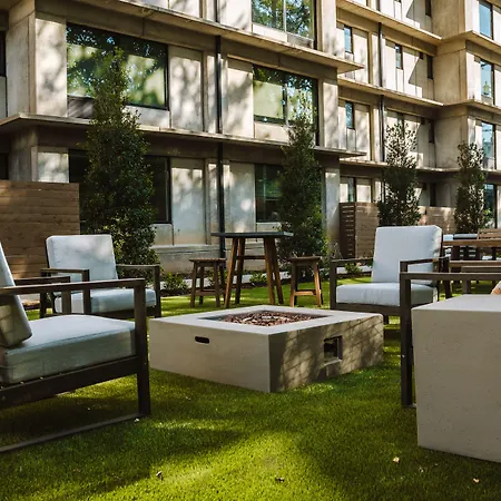 Brut Hotel-3