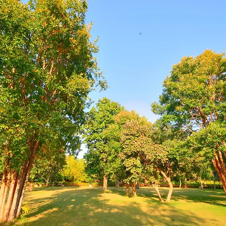 Bundela Bandhavgarh By Octave-3