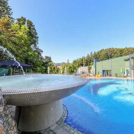 Hotel Svicarija - Terme Dobrna-2