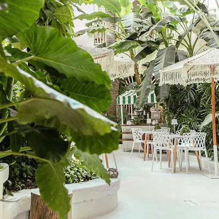 Casa Diluca Cartagena Hotel Boutique-2