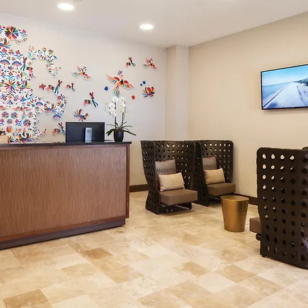 The Westin Los Cabos Resort Villas - Baja Point-3