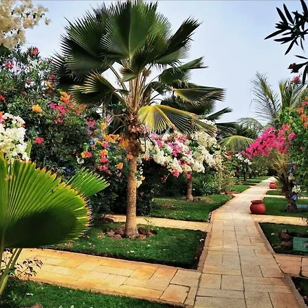 Royal Horizon Baobab-3