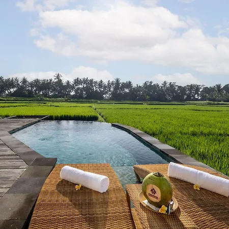 Thewakanda Resort A Pramana Experience-2