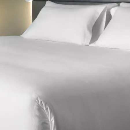 Nh Collection Barcelona Gran Hotel Calderon-3