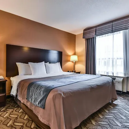 Comfort Inn & Suites Ambassador Bridge-2