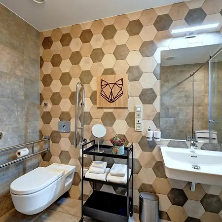 Wellness Hotel Fénix-3