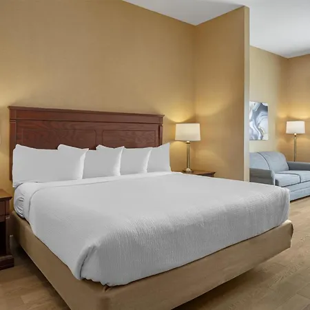 Best Western Plus Fredericton Hotel & Suites-3