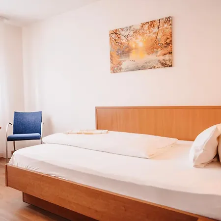 Hotel&Restaurant Goldener Pflug-2