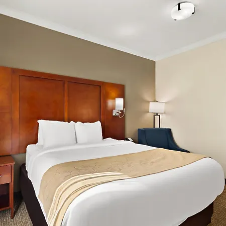 Comfort Suites Corpus Christi Central-2